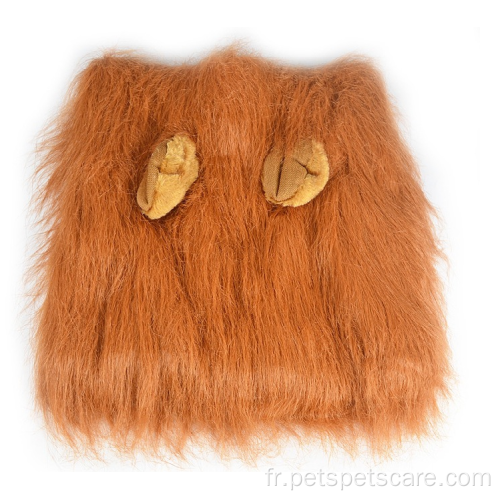 Costume de chien à crinière de lion marron pour fête du festival